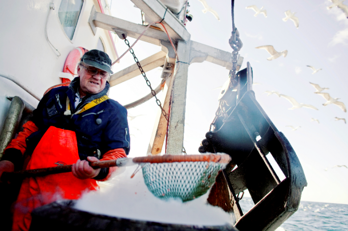Skipper Tom Aleksandersen på reketråleren "Topsy" koker dagens fangst. I likhet med de andre båtene leverer "Topsy" sin fangst til fiskemottaket Fjordfisk på Hvaler. Siden 2004 har mottaket doblet sin omsetning av reker. Foto: Tore Meek / SCANPIX