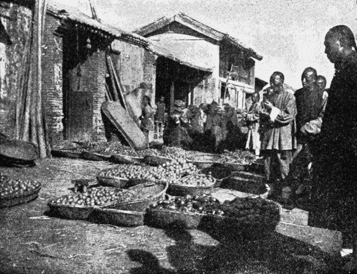 Fruktmarked i Pekin, Kina, 1904. 								Wikimedia