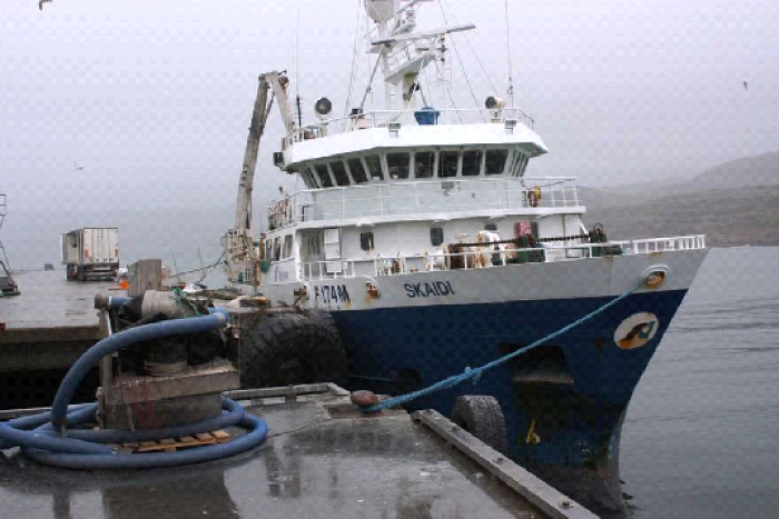 Fiskebaron Røkke har systematisk sabotert levering av fisk til fiskeindustrien i Finnmark. I august 2012 ble Aker Seafoods tatt på fersken, da tråleren «Skaidi» ikke leverte fisk i Mehamn, til tross for leveringsforpliktelsen. Foto: kystogfjord.no