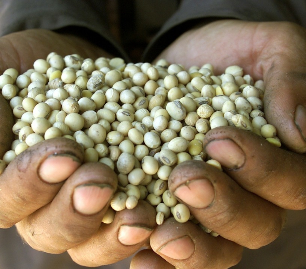 REUTERS/Bogdan Cristel