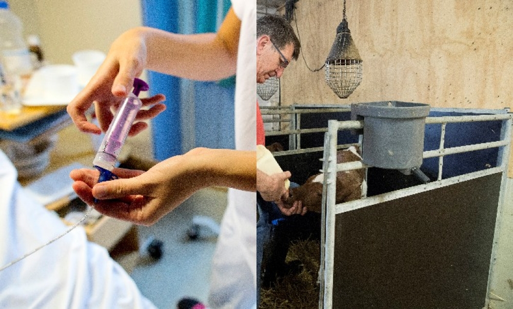 Illustrasjon, ulike yrker har store forskjeller, her ved kvinnelig sykepleier og mannlig bonde																			Foto: Tore Meek /Terje Bendiksby - NTB scanpix /Montasje Friheten