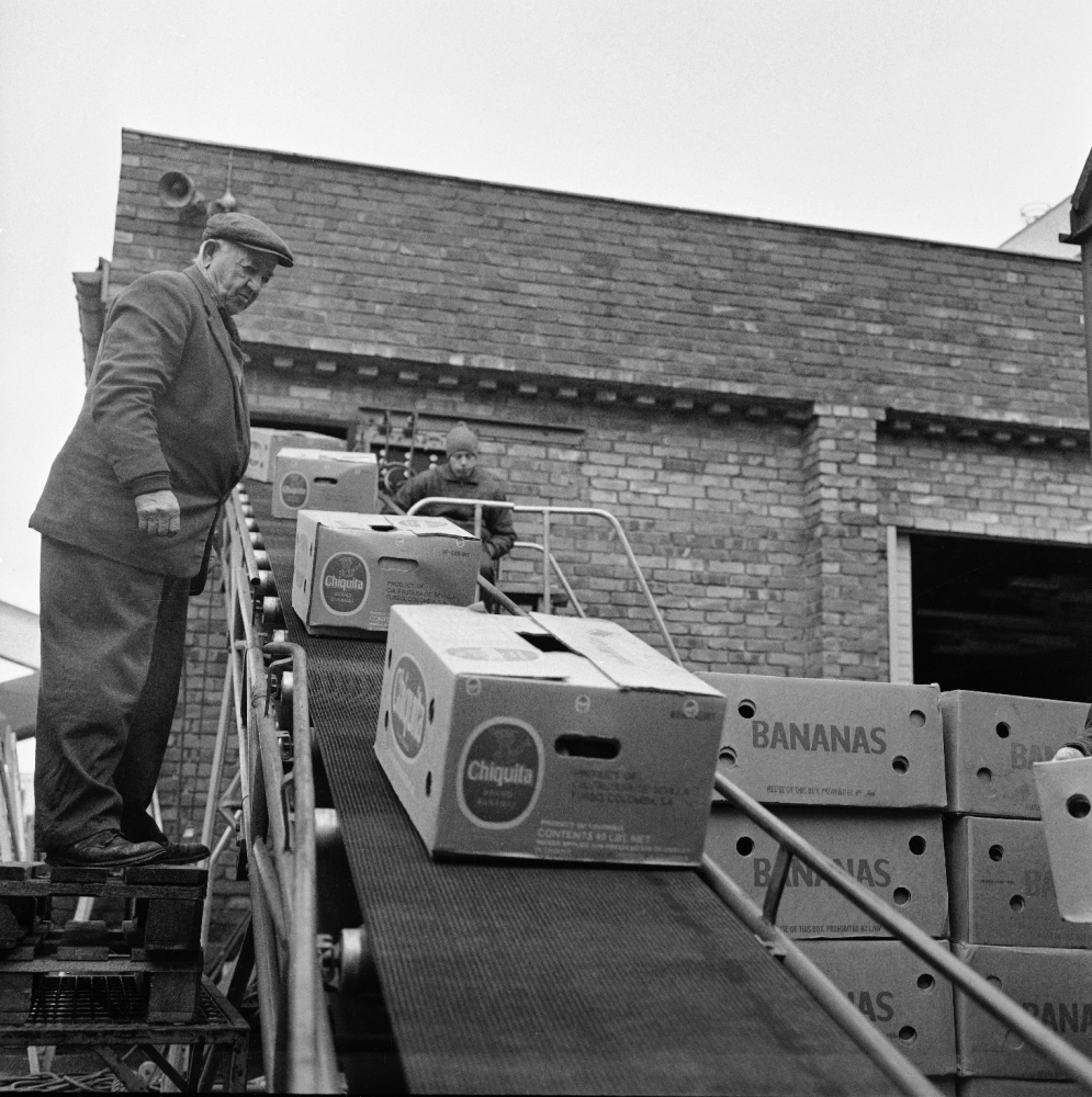 Illustrasjonsfoto: 27. november 1967 lossing av Chichita bananer for Banan-Matthiesen, på havna i Oslo. transportbånd med banan-kasser. Foto: NTB / Scanpix